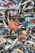 Marché aux poissons