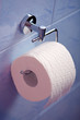 toilet paper