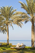 Beautiful garden next to the sea