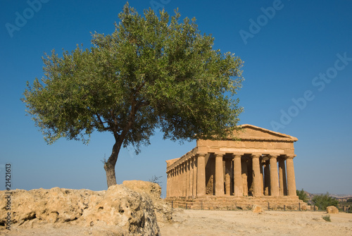 Photo: doric temple of Concord in the valley of temples and olive tree doric temple of Concord in the valley of temples and olive tree