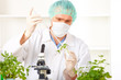 Researcher holding up a GMO plant in the laboratory Researcher holding up a GMO plant in the laboratory