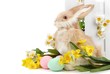 Easter concept