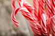 Candy cane
