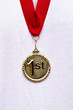 First place gold medal