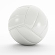 white volley ball