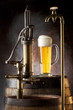the still life with beer