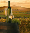 the vine with vineyard on background