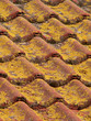 dachpfannen
