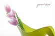 tulip