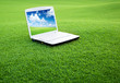 notebook on the green field