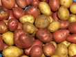 Potatoes
