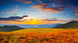 morning in mountains