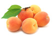 Ripe apricot.