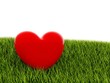 Red heart on green grass