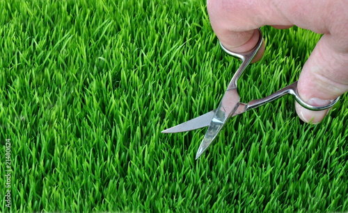Foto: Rasenpflege Rasenpflege
