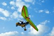 fly in blue sky