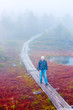 A dreaming man goes across the swamp