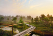 Scenic landscape in the morning