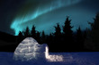 Iglu mit Nordlicht