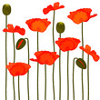 Vector: Poppies Poppies