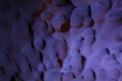 plafond de grotte