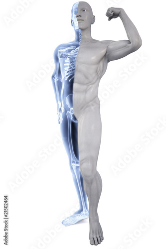 Illustration: athlete under Xrays athlete under Xrays