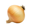 Ripe onion
