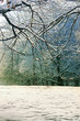 Wiese im Winter bei Schnee Wiese im Winter bei Schnee