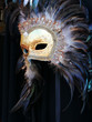 Carnival mask, Venice Carnival mask, Venice