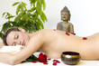 Wellness & Spa 6