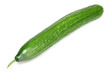 Foto: Gurke Gurke