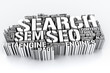 SEO 3D - Search engine optimization isolated on white