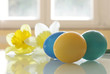 Painted Easter Eggs and Daffodils Painted Easter Eggs and Daffodils