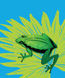 Green frog
