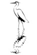 Reiher links