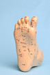 foot massage model
