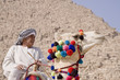 Egyptian sitting on a camel in the background of the pyramid