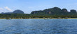 Phi Phi Island
