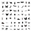 Vector set of insects silhouettes