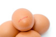 Oeufs frais et traçabilité