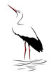 Storch No.2