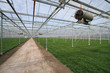 Greenhouse