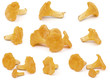 chanterelles