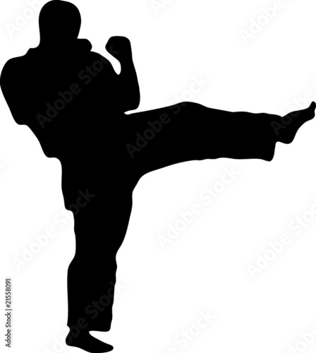 Vector: MARTIAL ARTS kick.Vector. MARTIAL ARTS kick.Vector.