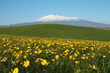 Spring Landscape And Mount Etna Spring Landscape And Mount Etna