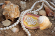 Refined background with pearls and sea cockleshells Refined background with pearls and sea cockleshells