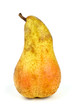 Long yellow pear Long yellow pear
