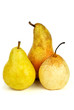 Three pears of different breads Three pears of different breads