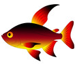 toy fish toy fish