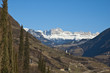 Rosengarten